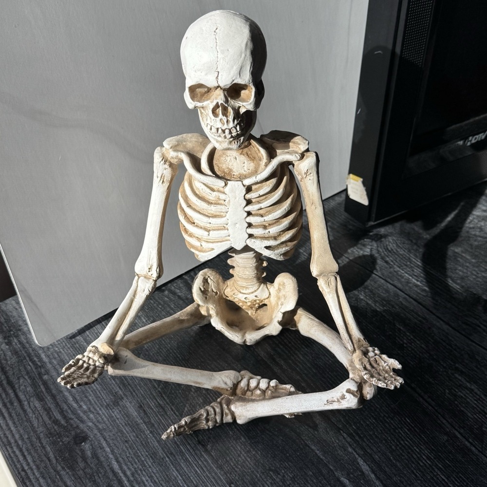 Skeleton Not Posable Halloween Decor Articulated Bones Gothic Spooky Tabletop